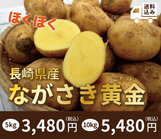 【予約開始!!　2025年6月下旬から準備でき次第随時発送】長崎県産ながさき黄金