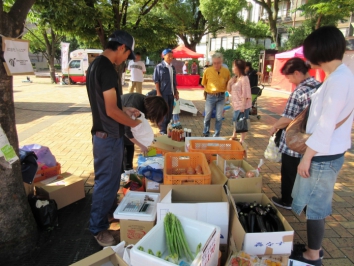 昔ながらのミニトマト(長崎・南島原産)の宅配通販