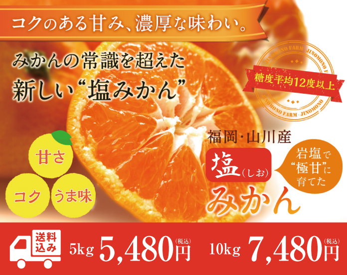 塩みかん