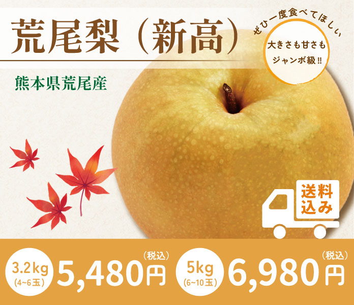 2021年度 地のものオンラインショップ注文数No.1!
新高梨の産地で有名な熊本県荒尾市では「ジャンボ梨」と呼ばれるとても大きな梨が有名です。
平均サイズは450~500gですが、ジャンボ梨は大きい物だと1kg以上!
大きくても甘味は抜群!梨のあのみずみずしくてジューシーな食感が堪能できます。