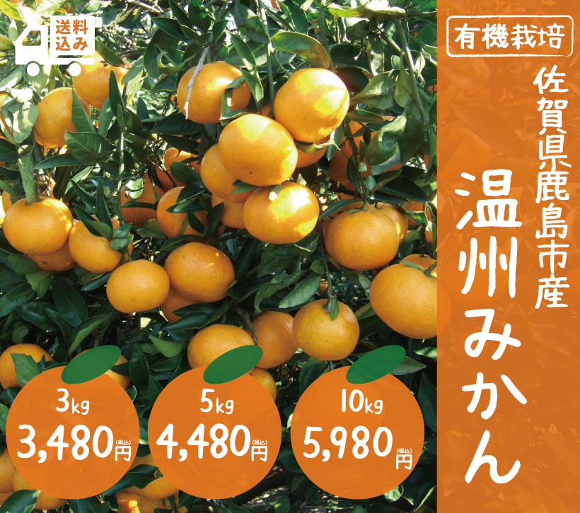 温州みかん