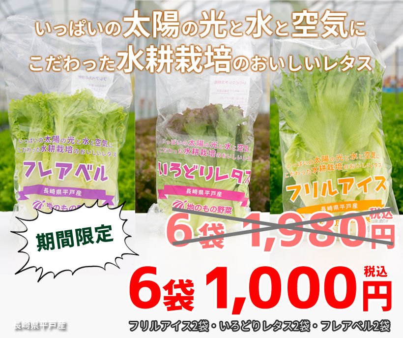 リーフレタスセット