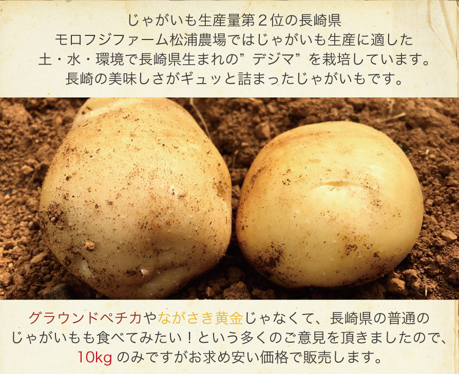 赤土と対馬暖流の温暖な気候が美味しさの秘密!