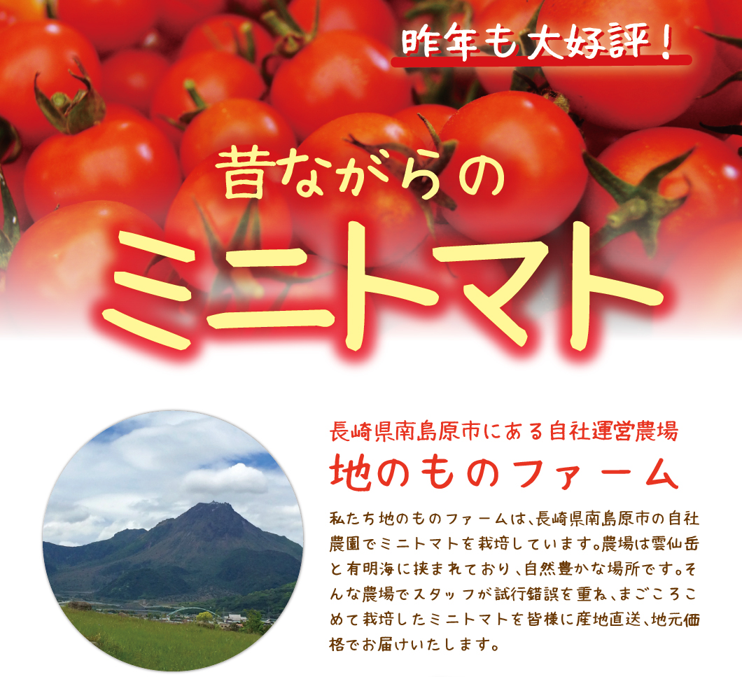 昔ながらのトマト好きのためのミニトマト