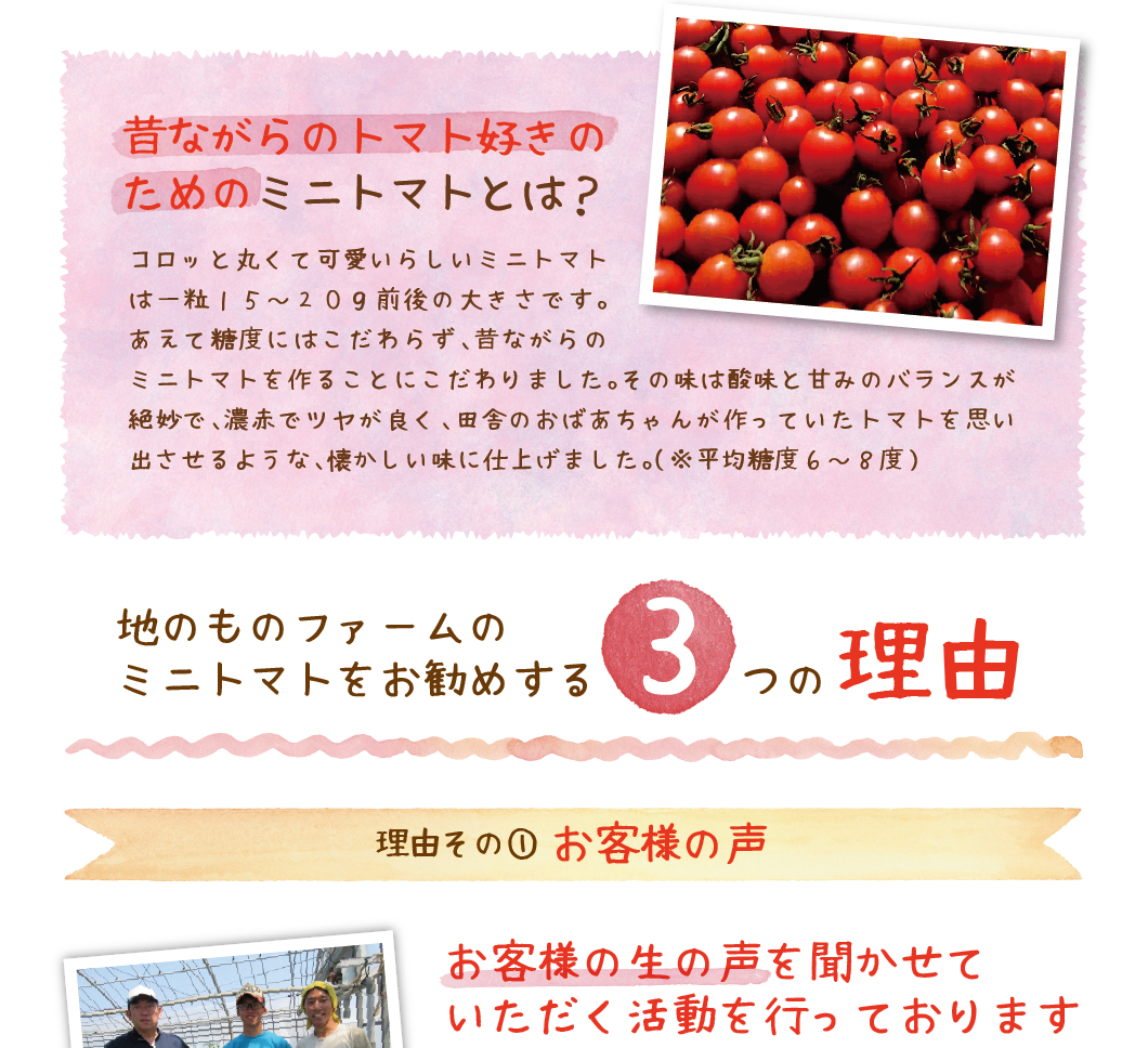 昔ながらのトマト好きのためにミニトマトとは?