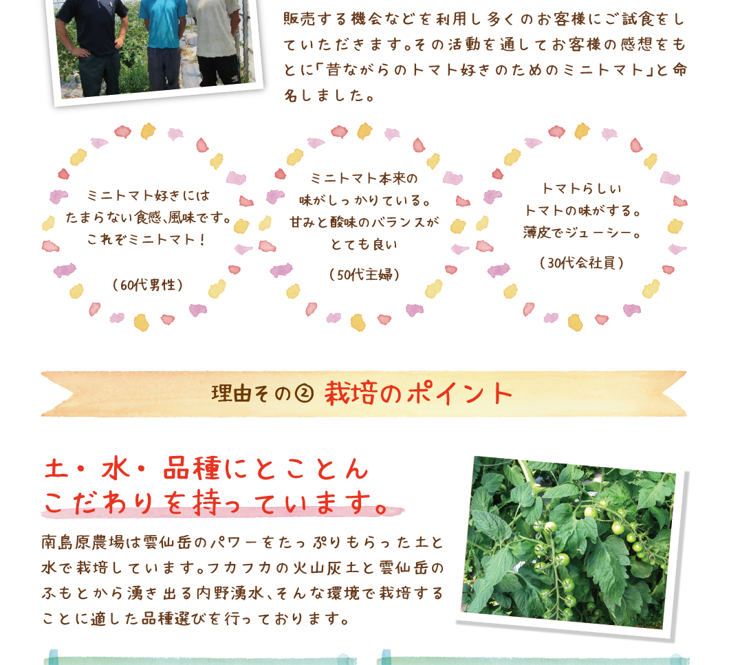 ミニトマトの成長や様子を毎日観察・確認ができます