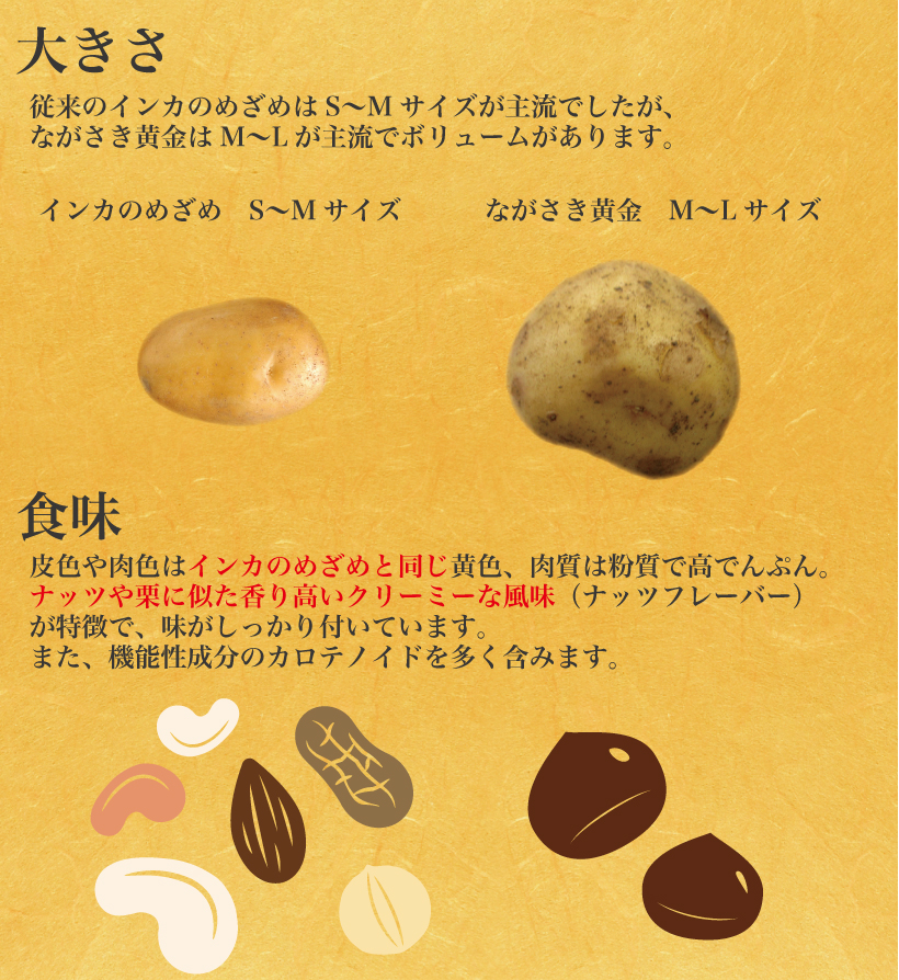 大きさはインカのめざめより大きく、味もそのまま