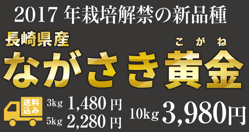 ながさき黄金は産地直送で近日販売開始!