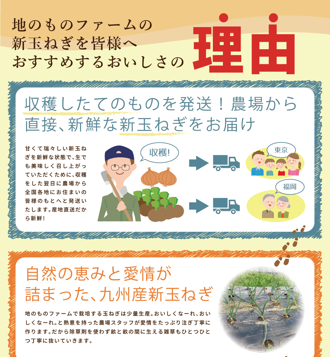 地のものファームの新玉ねぎをおすすめする理由