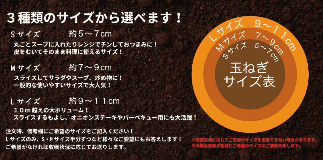 注文時に好きなサイズを選ぶことができます!