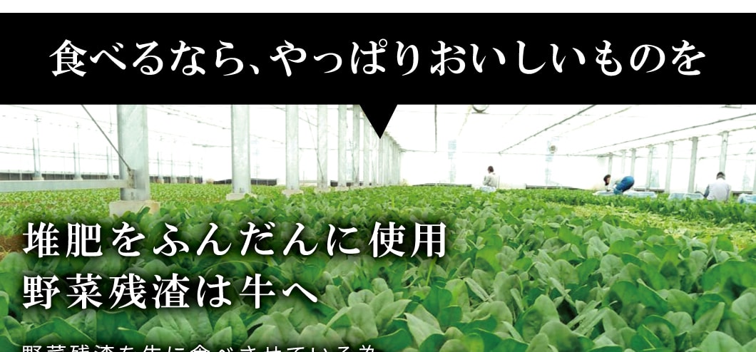循環型農業が確立しています