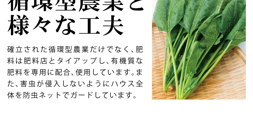 自宅の酪農ででる堆肥をふんだんに使用して栽培されたほうれん草