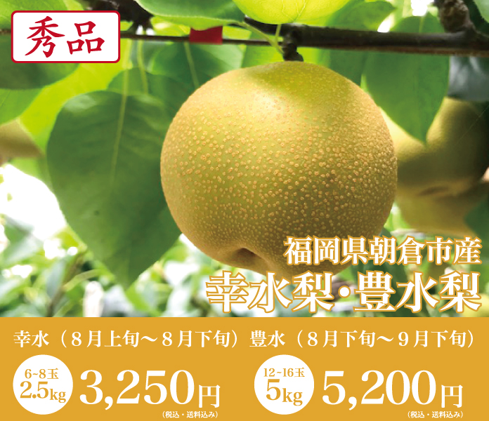 福岡県梨(秀品)