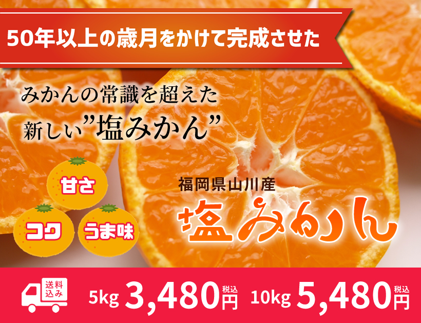 塩みかん