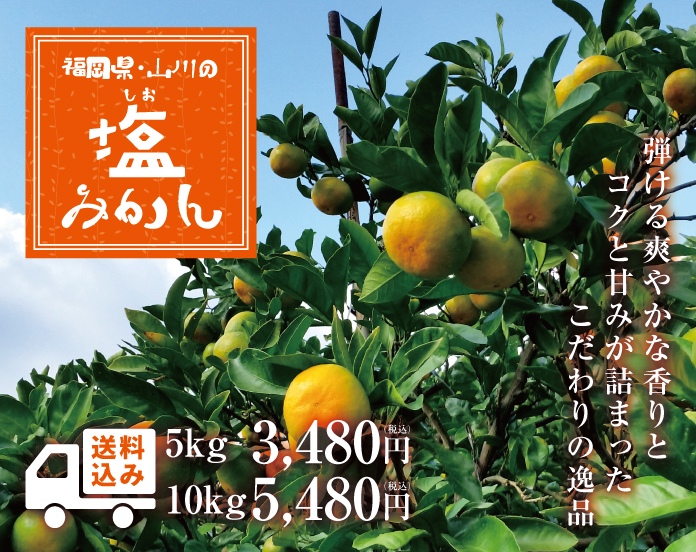 塩みかん