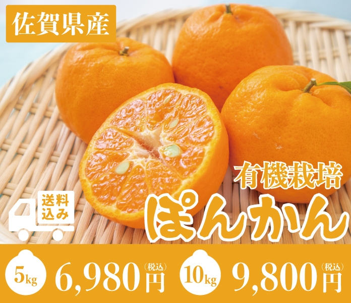 ぽんかん