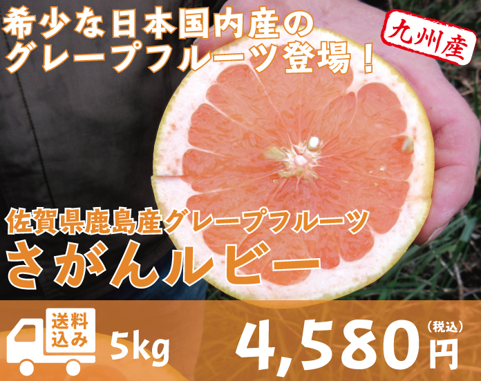 さがんルビー