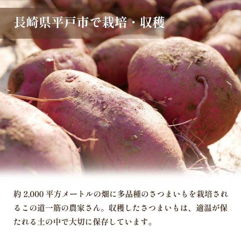 長崎県平戸市で栽培・収穫されました。