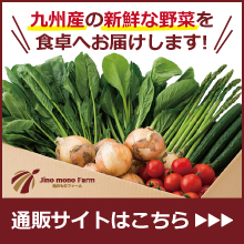 九州野菜の通販、お取り寄せ｜地のものファームオンラインショップ