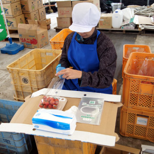 一つひとつ目視で検品をし、袋詰めします。