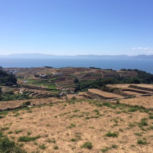 近くにある展望台からは、海をバックにして広がる棚畑の景観を眺めることが出来ます。天気が良いと、青い空、青い海、そして大自然を同時に堪能することが出来ます。