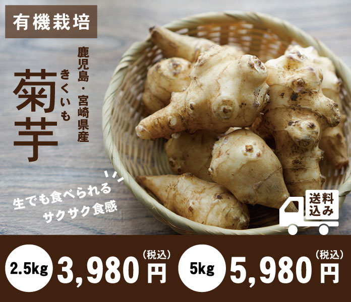 宮崎・鹿児島県産 菊芋の販売がスタートしました