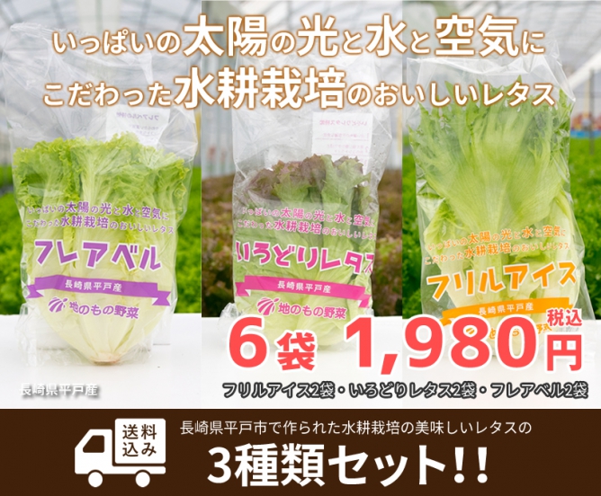 長崎県平戸産 水耕栽培リーフレタスの3種類セット
