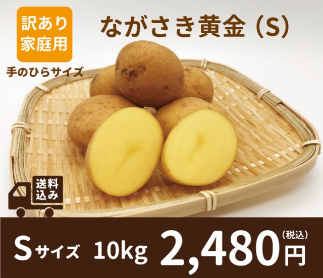長崎県産ながさき黄金 Sサイズ販売開始しました！