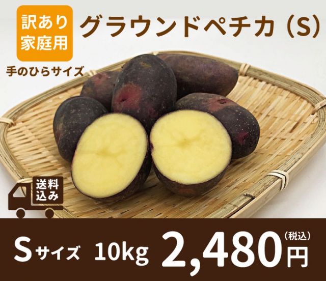 長崎県産グラウンドペチカ Sサイズ販売開始しました！