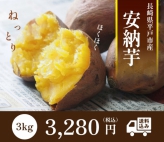 長崎県平戸市産 安納芋