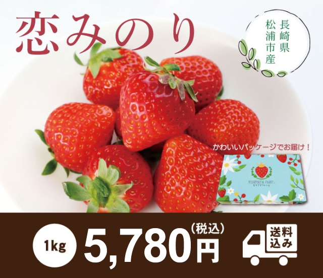 長崎県松浦市産 恋みのり