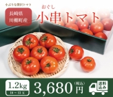 長崎県産 小串トマト