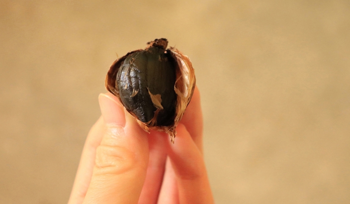 青森産 熟成黒にんにく【送料込】