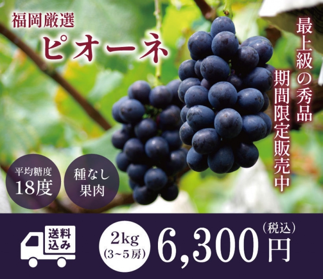うきはしピオーネ