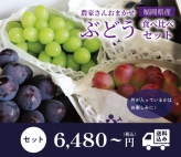 【2022年8月16日以降発送】福岡県久留米市産 ぶどう食べ比べセット
