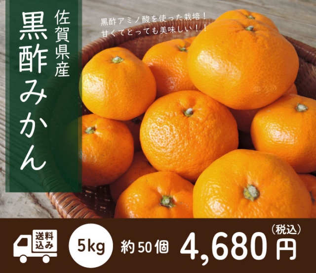 【2023年11月～順次発送】佐賀県太良町産 黒酢みかん