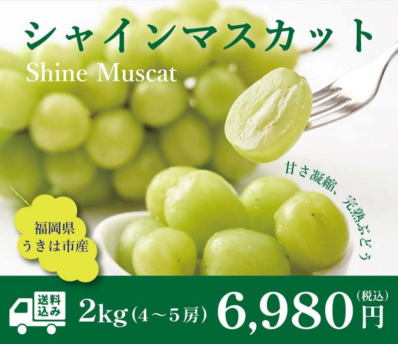 福岡県うきは市産シャインマスカット | 地のものオンラインショップ