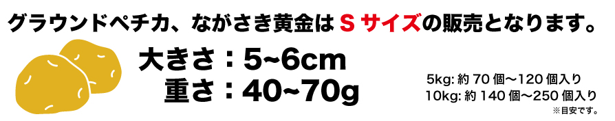 グラウンドペチカ、ながさき黄金はSサイズでの販売になります。