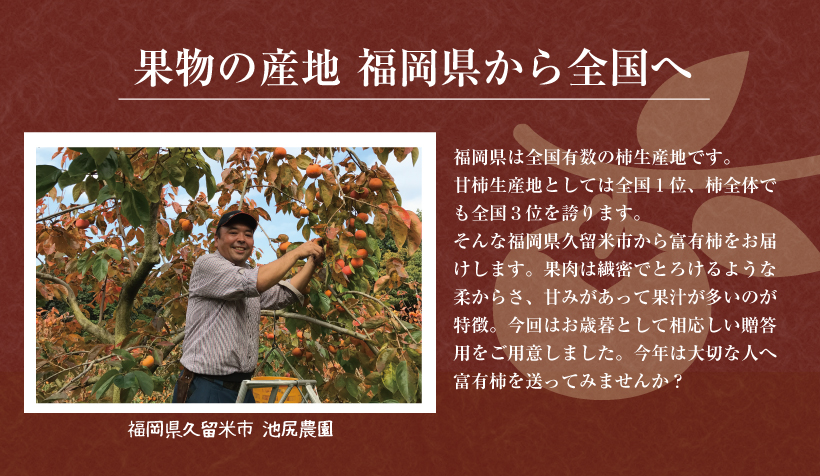 甘柿生産地全国1位の福岡県から富有柿をお届け