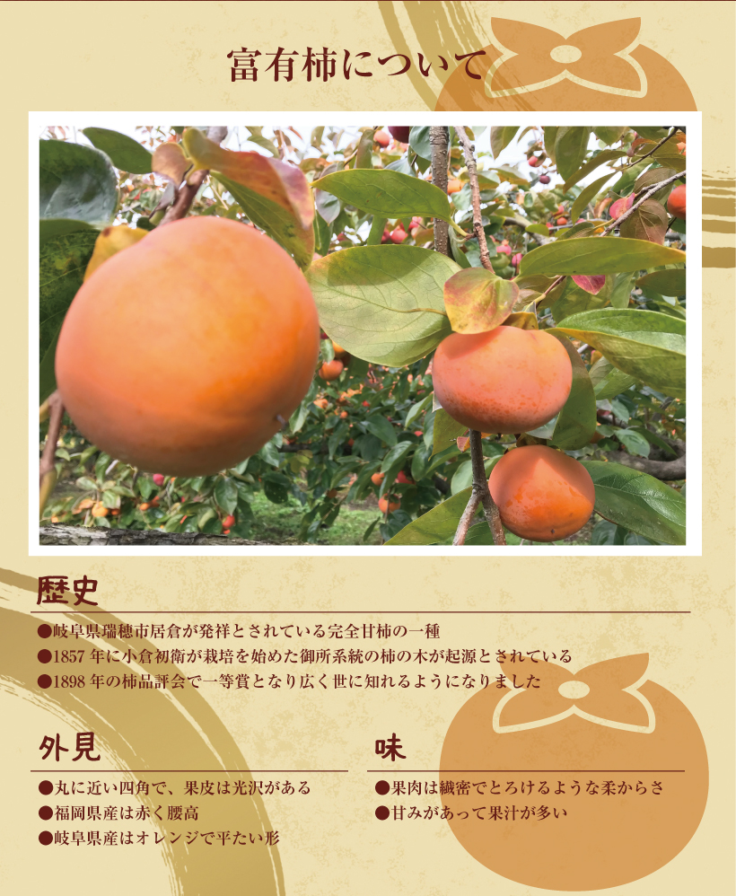 とろけるような柔らかさの果肉と甘味がたっぷりの富有柿。福岡県産の富有柿は赤く腰高なのも特徴