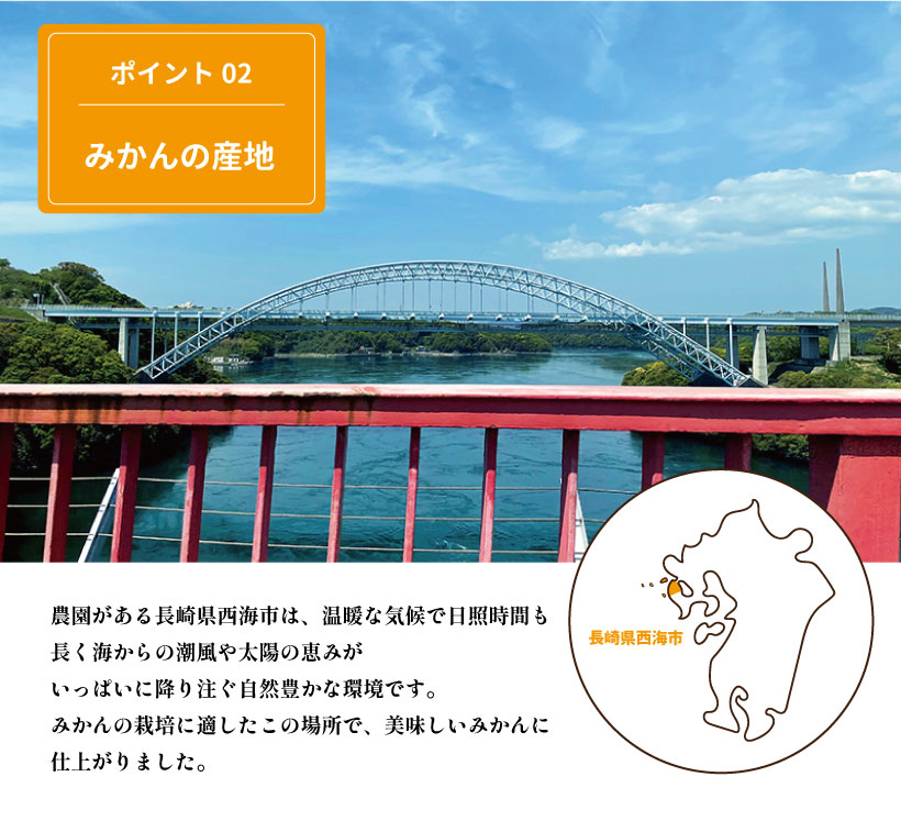 長崎県西海市はみかんの産地として有名です