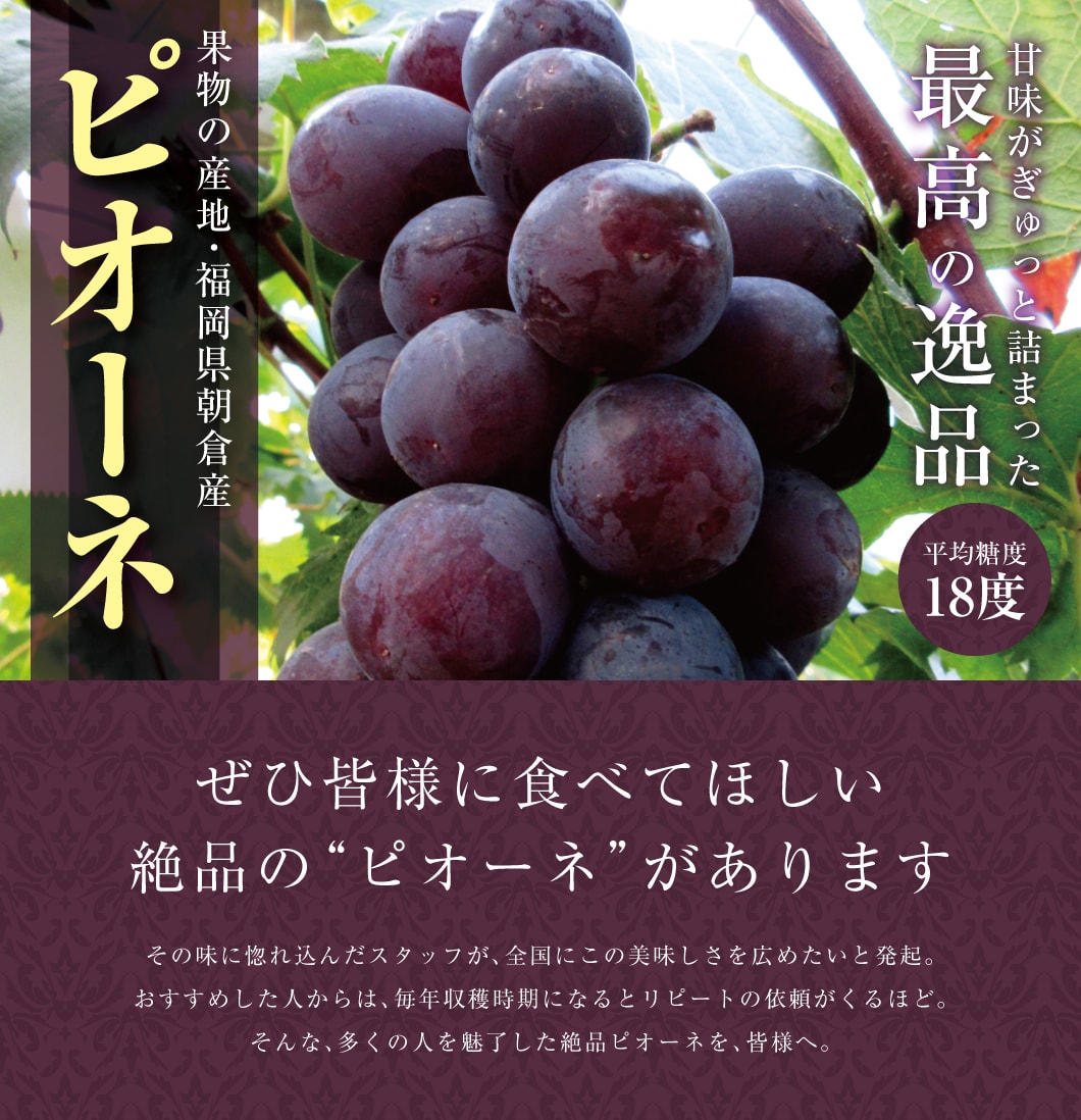 種無しピオーネ