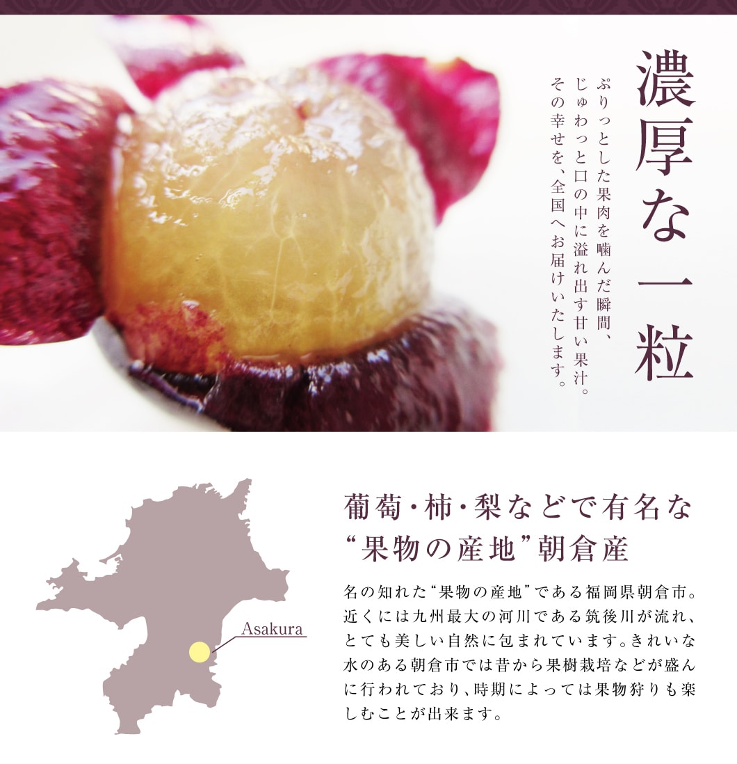 “果物の産地”朝倉産