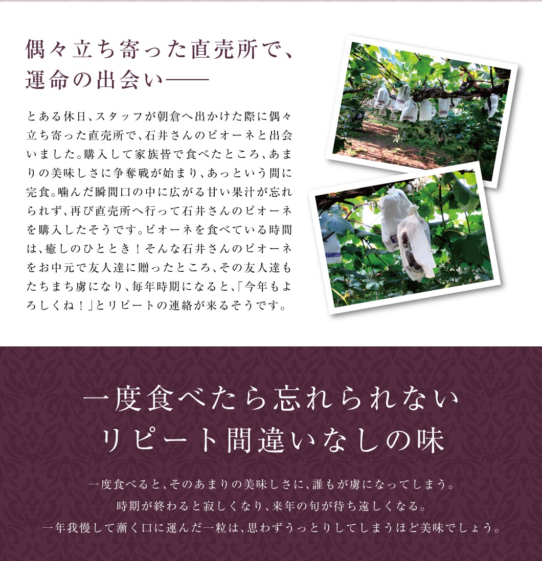 一度食べたら忘れられない、リピート間違いなしの味