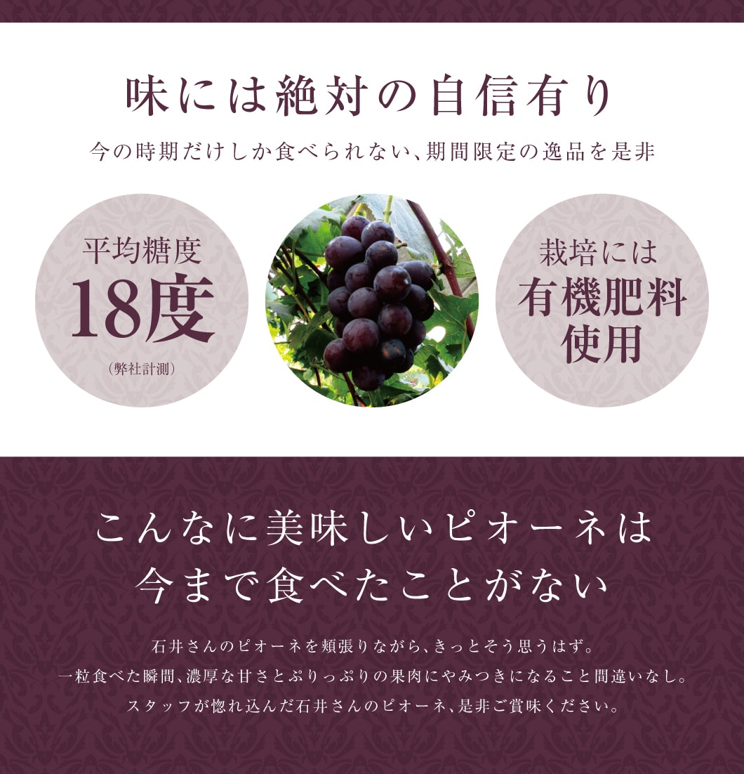 こんなに美味しいピオーネを今まで食べたことがない