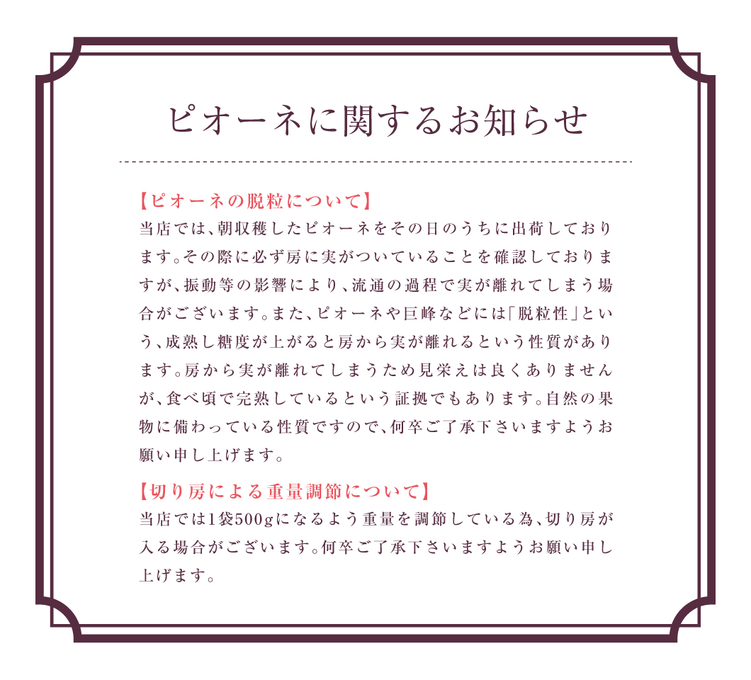 お知らせ