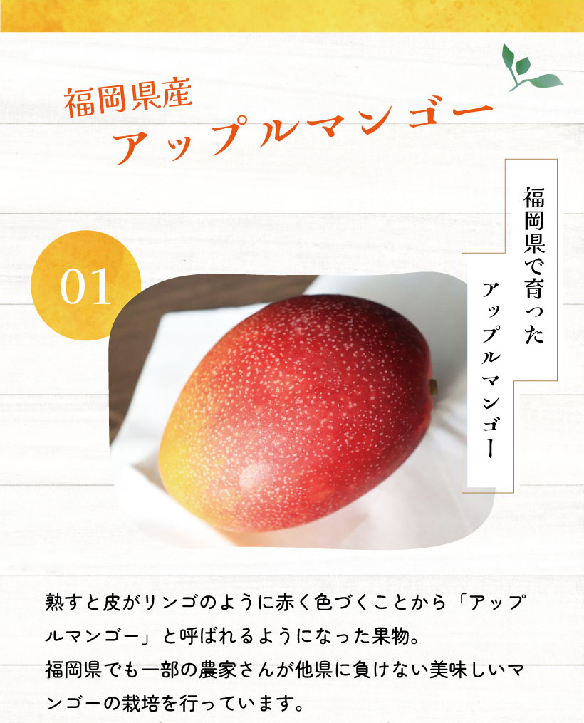 福岡県産 アップルマンゴー | 地のものオンラインショップ
